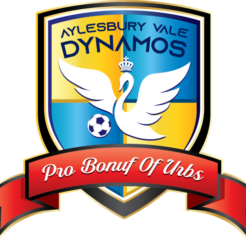 Aylesbury Vale Dynamos Colts badge